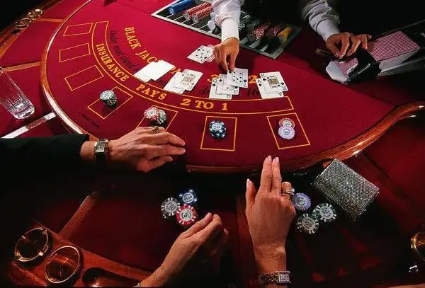488 bet app